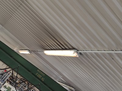 Mytí stropu lnáře Strom as